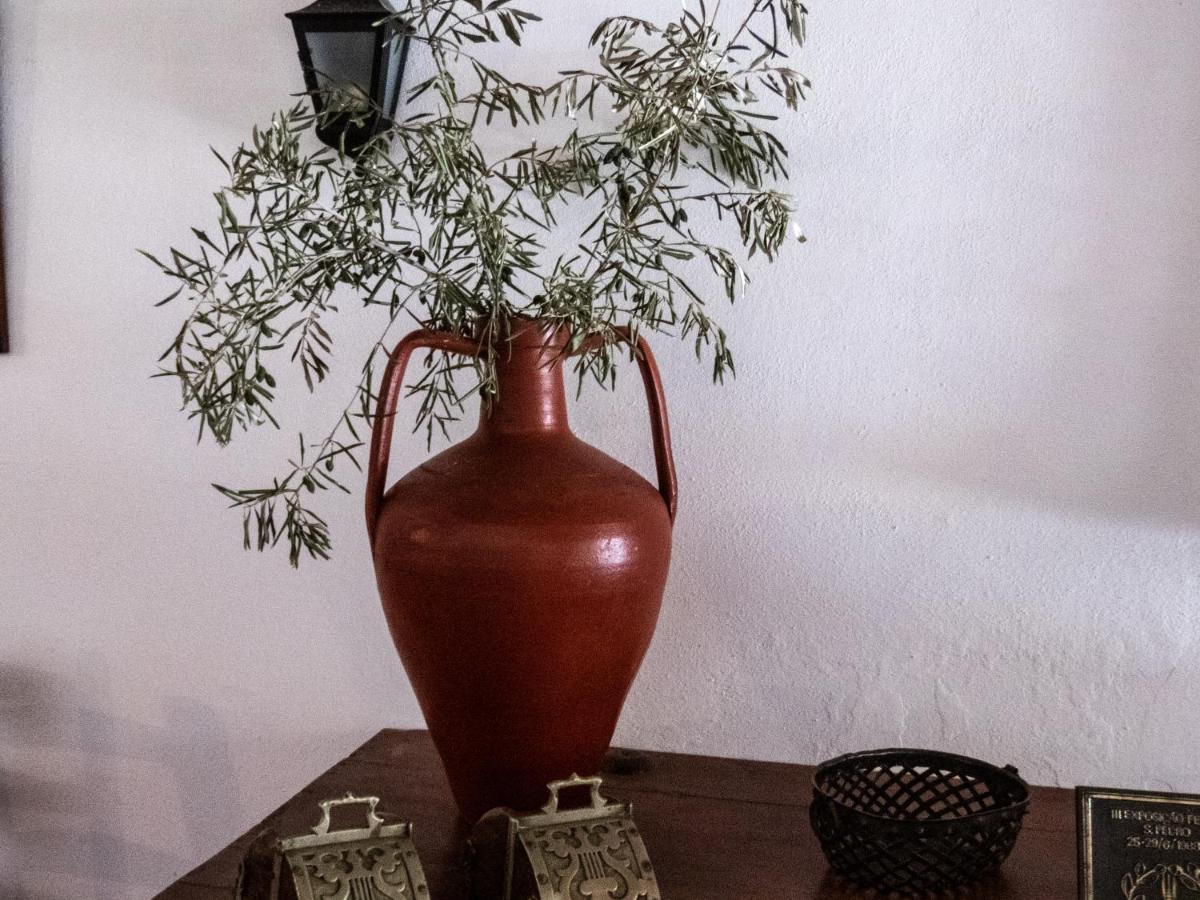 Monte Das Oliveiras Arraiolos Kültér fotó